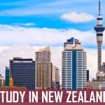 How New Zealand Education Consultants Help You Achieve Your Global Education Goals